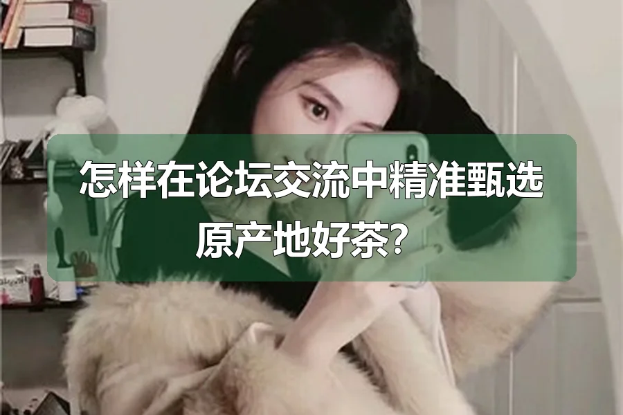 怎样在论坛交流中精准甄选原产地好茶?